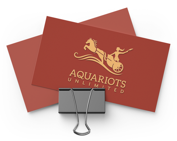 Aquariots: Publishing Logo Design